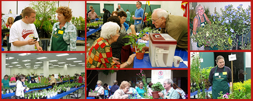 San Diego Master Gardeners The 2010 Master Gardener Plant Sale Is