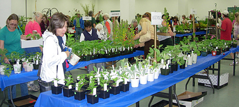 San Diego Master Gardeners The Master Gardener Annual Plant Sale