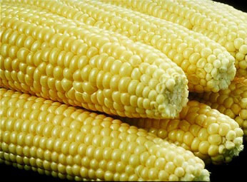 corn